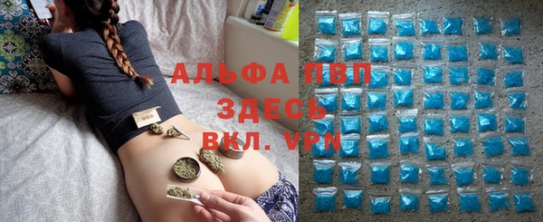таблы Бородино