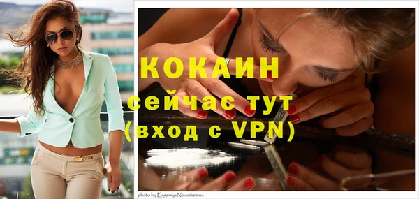 таблы Бородино